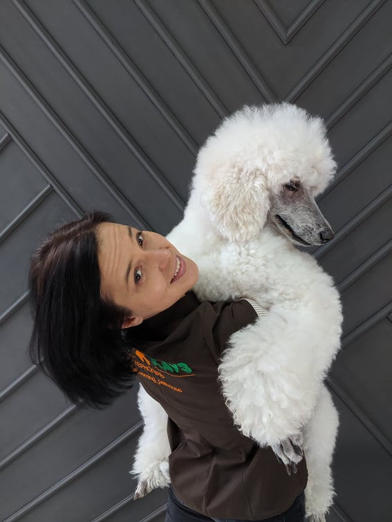 Немає опису.