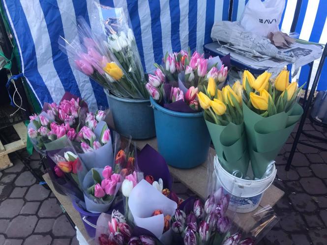 Новини Хмельницького - фото з Квітковий ярмарок в центрі Хмельницького. Що й по чому там продають Нет описания.