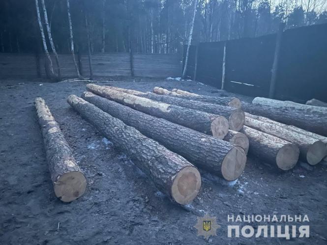 Новини Житомира - фото з Необліковану деревину виявили на лісопильнях у Житомирському і Коростенському районах