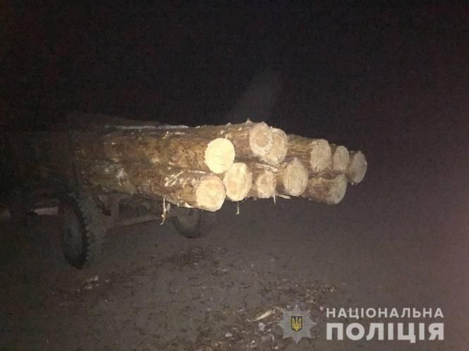 Новини Житомира - фото з Необліковану деревину виявили на лісопильнях у Житомирському і Коростенському районах