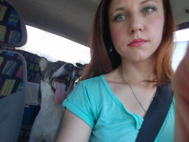 Новини Вінниці - фото з Чому стерилізація безпритульних тварин не зменшує їх кількість на вулицях Вінниці