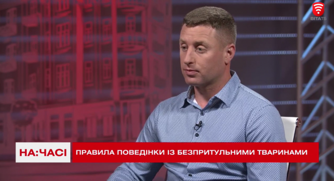 Новини Вінниці - фото з Чому стерилізація безпритульних тварин не зменшує їх кількість на вулицях Вінниці