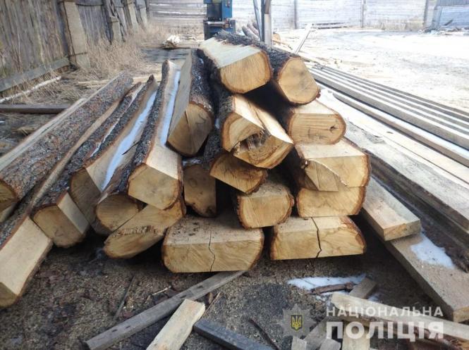 Новини Житомира - фото з Необліковану деревину виявили на лісопильнях у Житомирському і Коростенському районах