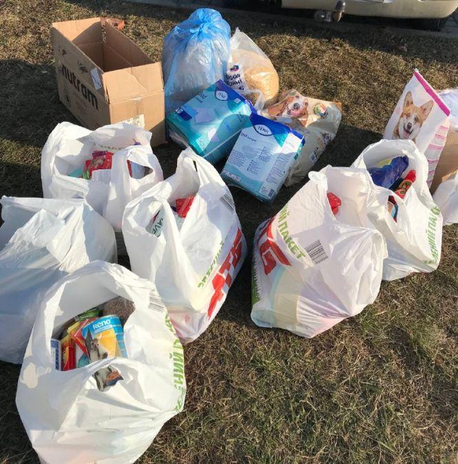 Новини Вінниці - фото з «З миру по нитці»: чим у Вінниці завершився благодійний зоочелендж «Дай5»?