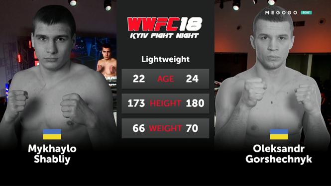 Олександр Горшечнік