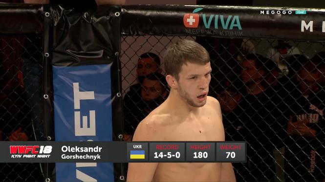 Олександр Горшечнік