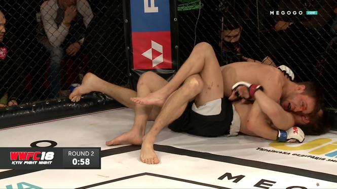 Олександр Горшечнік