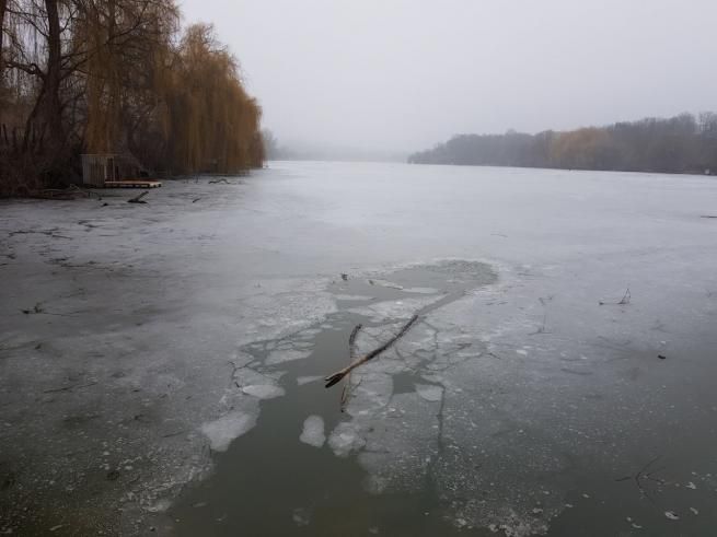Новини Вінниці - фото з ВІДЕО ДНЯ: щасливий порятунок песика, який провалився під кригу Возможно, это изображение (природа та озеро)