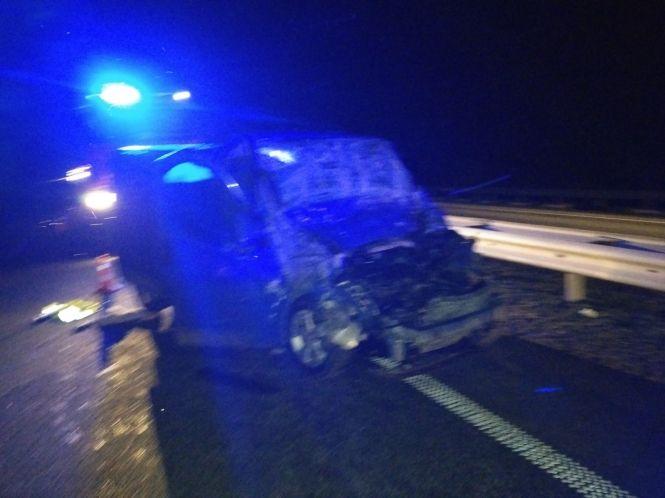 Новини Житомира - фото з Рятувальники деблокували травмованого водія з мікроавтобуса, який потрапив у ДТП на трасі Київ - Чоп