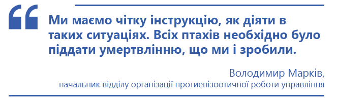Новини Тернополя - фото з За і проти: чи потрібно було умертвляти лебедів у парку «Топільче» та куди поділи їх тіла