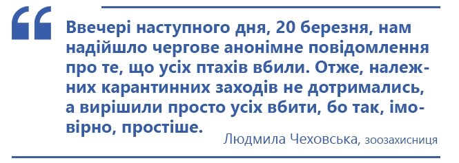Новини Тернополя - фото з За і проти: чи потрібно було умертвляти лебедів у парку «Топільче» та куди поділи їх тіла