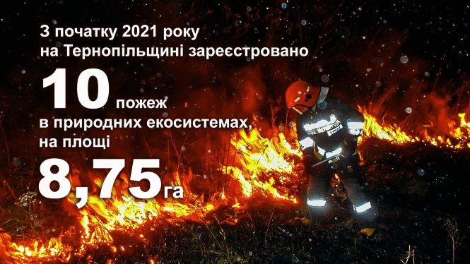 Новини Тернополя - фото з П’ять років тюрми не зупиняє: на Тернопільщині вже  згоріло 9 гектарів. Що "світить" паліям?