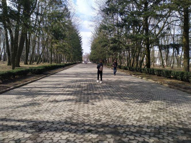 Новини Тернополя - фото з Мертві птахи та купи сміття: у "Старому парку" тільки фільми жахів знімати. Ми перевірили