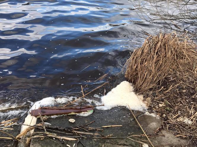 Новини Хмельницького - фото з Мертва риба у водоймі на Озерній. Що кажуть мешканці, влада та еколог Нет описания.