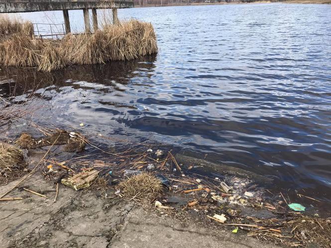 Новини Хмельницького - фото з Мертва риба у водоймі на Озерній. Що кажуть мешканці, влада та еколог Нет описания.