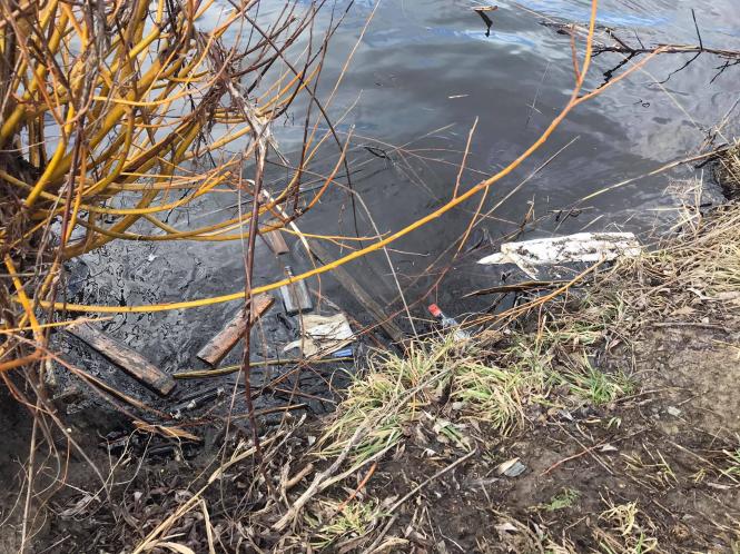 Новини Хмельницького - фото з Мертва риба у водоймі на Озерній. Що кажуть мешканці, влада та еколог Нет описания.