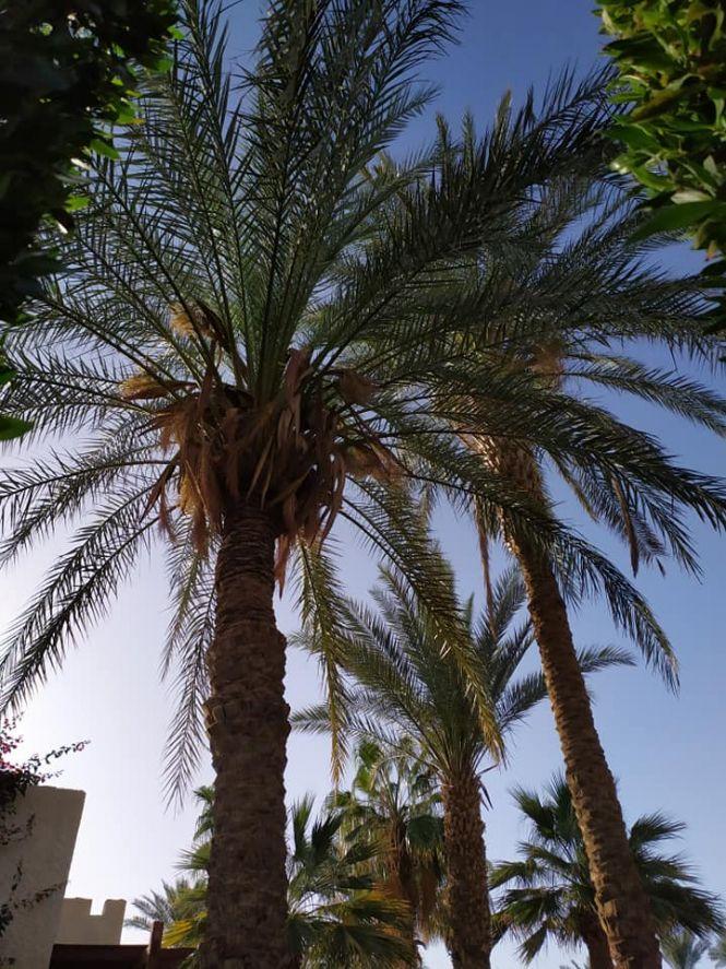 Новини Тернополя - фото з Карантинний відпочинок за кордоном. Скільки коштує і які ризики – досвід тернополян і експертів (ГРАФІКА)