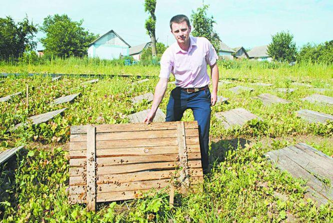 Новини Вінниці - фото з Бізнес «для ледачих». Як барчанин створив равликову ферму
