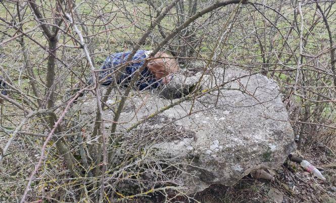 Новини Вінниці - фото з Міст без річки, 500-літні дуби і перші гриби. Кияни запрошують на екскурсію в село на Вінниччину