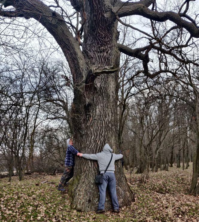 Новини Вінниці - фото з Міст без річки, 500-літні дуби і перші гриби. Кияни запрошують на екскурсію в село на Вінниччину