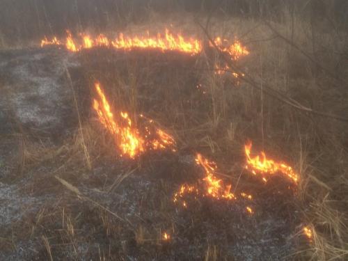 Новини Житомира - фото з В області продовжує палати суха рослинність: за добу виникло 5 загорянь, вигоріло 8 гектарів 3.jpg