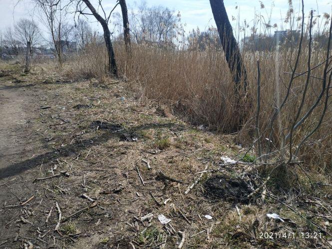 Новини Тернополя - фото з «Пейзаж» вражає. Як ділянку в парку «Топільче» перетворюють на смітник (ФОТО)