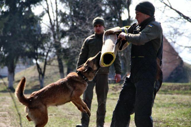 Новини Вінниці - фото з «Заснув з Ельзою у буді». Керівник кінологів — про себе, підлеглих і як беруть до них на службу