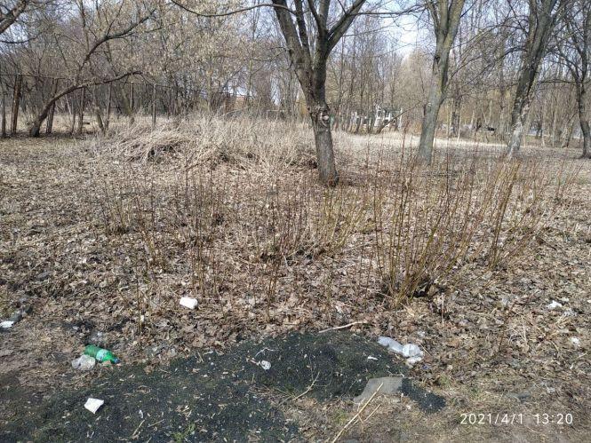 Новини Тернополя - фото з «Пейзаж» вражає. Як ділянку в парку «Топільче» перетворюють на смітник (ФОТО)