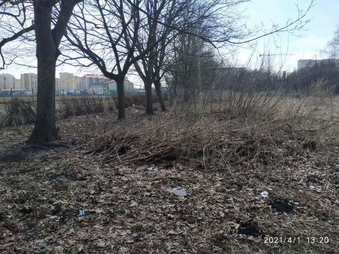 Новини Тернополя - фото з «Пейзаж» вражає. Як ділянку в парку «Топільче» перетворюють на смітник (ФОТО)