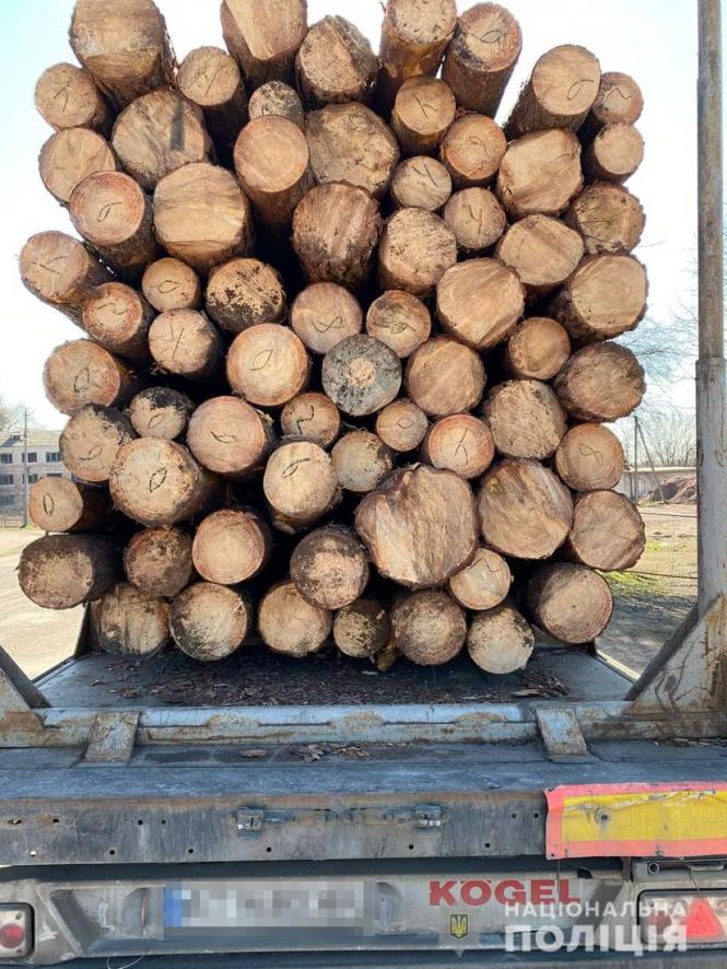 Новини Житомира - фото з В Овручі затримали вантажівку з деревиною без документів