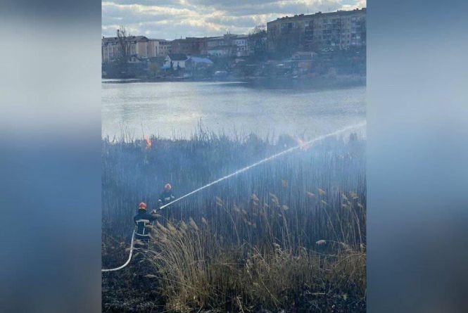 Новини Вінниці - фото з Іменини авторитета та пожежа на набережній: важливе за 5 квітня на 20minut.ua За день згоріло 15 гектарів сухої рослинності. Нині пожежа на вінницькій набережній