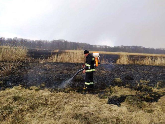 Новини Житомира - фото з Паліям закон не писаний: на Любарщині палав сухостій
