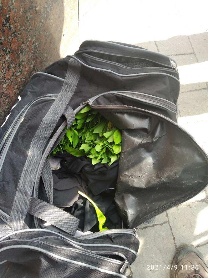 Новини Хмельницького - фото з У Хмельницькому склали протокол на продавчиню черемші