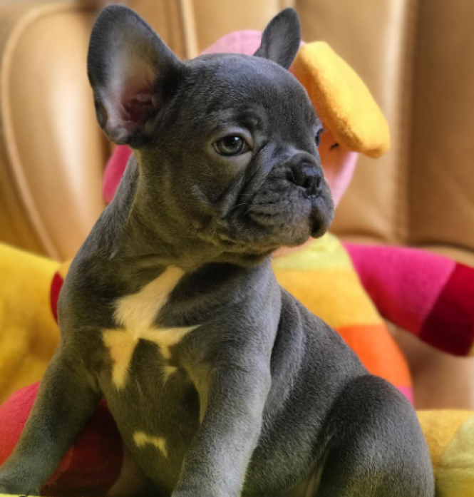 Новини Хмельницького - фото з Хмельницький в Instagram. Кращі фото за останній тиждень