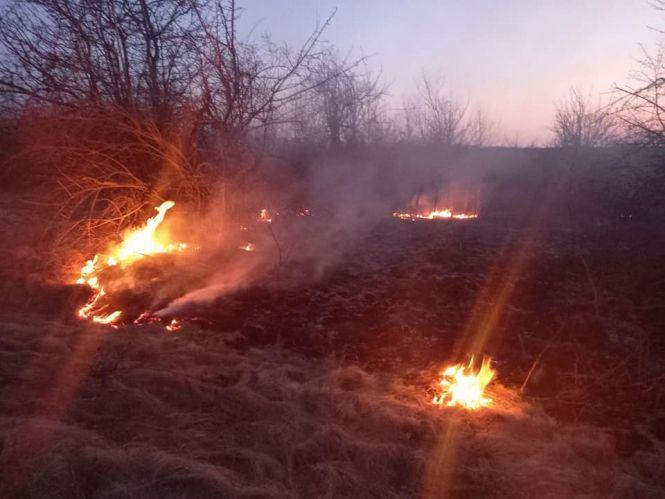 Новини Вінниці - фото з Пожежі по усій країні. Чому не можна спалювати суху траву та очерет