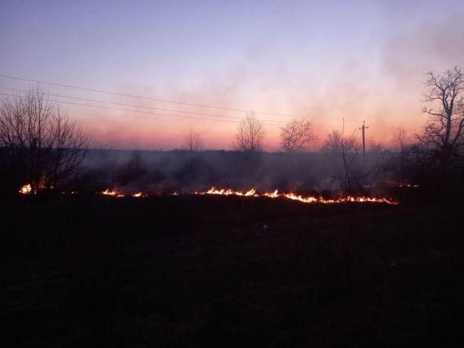 Новини Вінниці - фото з Пожежі по усій країні. Чому не можна спалювати суху траву та очерет