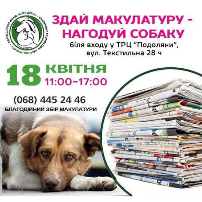 Новини Тернополя - фото з У Тернополі збиратимуть макулатуру, щоб допомогти безпритульним тваринам