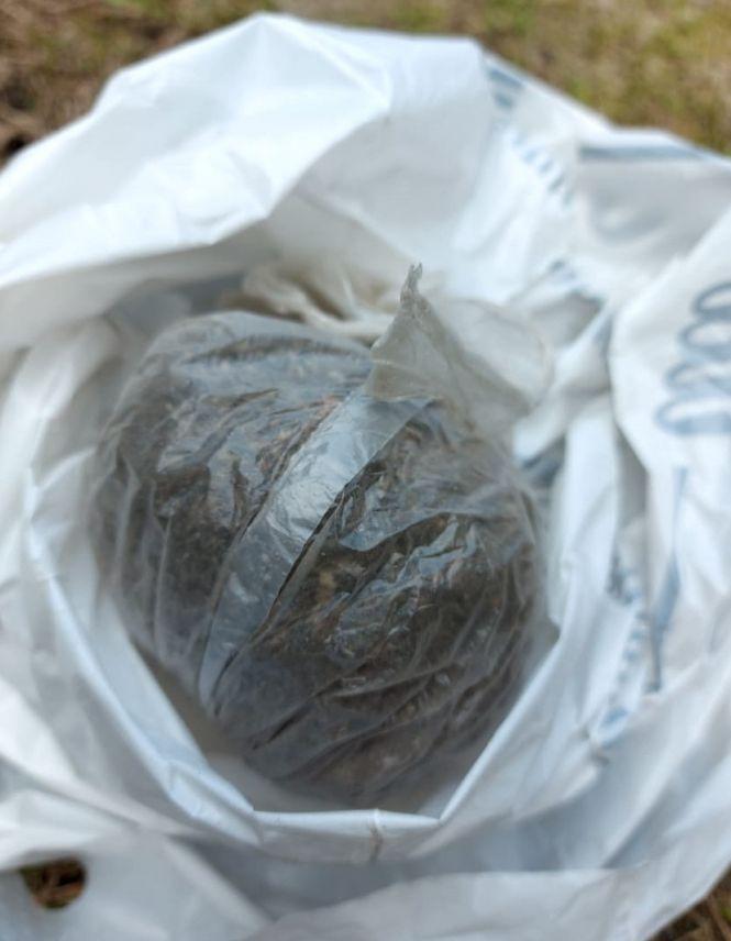 Новини Житомира - фото з У Коростені викрили банду, яка постачала  ув’язненим психотропи та наркотики