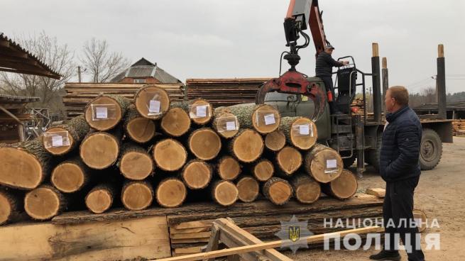 Новини Вінниці - фото з Підлога встелена доларами: на Вінниччині КОРД взяв банду чорних лісорубів