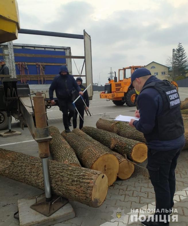 Новини Вінниці - фото з Підлога встелена доларами: на Вінниччині КОРД взяв банду чорних лісорубів