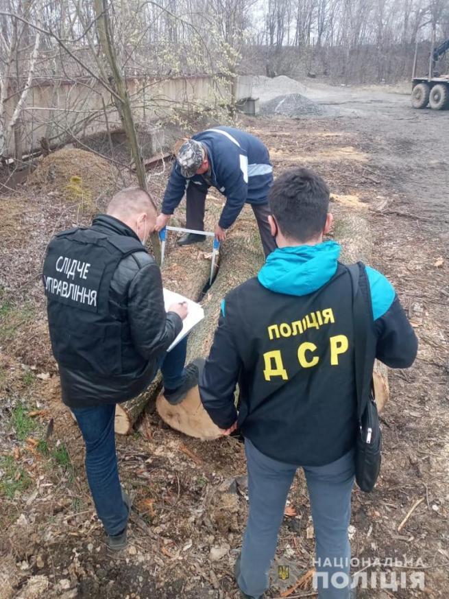 Новини Вінниці - фото з Підлога встелена доларами: на Вінниччині КОРД взяв банду чорних лісорубів