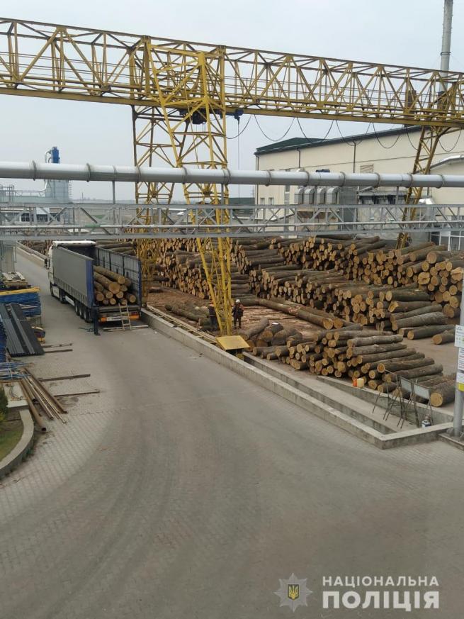 Новини Вінниці - фото з Підлога встелена доларами: на Вінниччині КОРД взяв банду чорних лісорубів