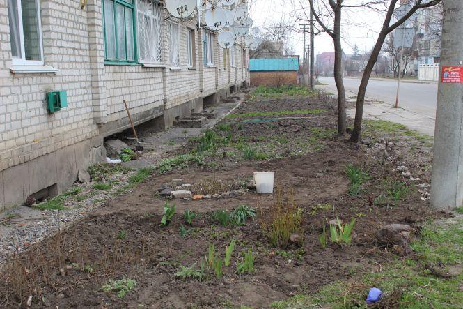 Новини Козятина - фото з Козятин у фото. Квітник на Матросова, обпалені дерева та гори сміття на кладовищі