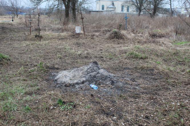 Новини Козятина - фото з Козятин у фото. Квітник на Матросова, обпалені дерева та гори сміття на кладовищі