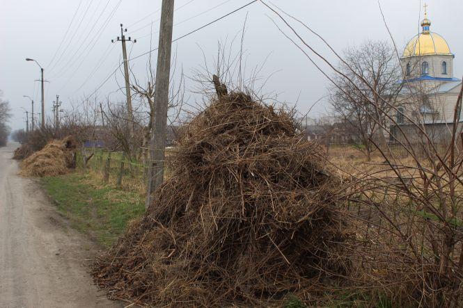 Новини Козятина - фото з Козятин у фото. Квітник на Матросова, обпалені дерева та гори сміття на кладовищі