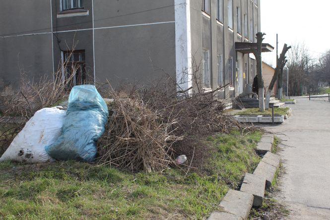 Новини Козятина - фото з Козятин у фото. Квітник на Матросова, обпалені дерева та гори сміття на кладовищі