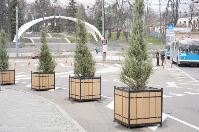 Новини Вінниці - фото з Вінницю прикрасять кущами ялівцю «Блю Арроу». Розпочали з площі Гагаріна SV_00535.JPG