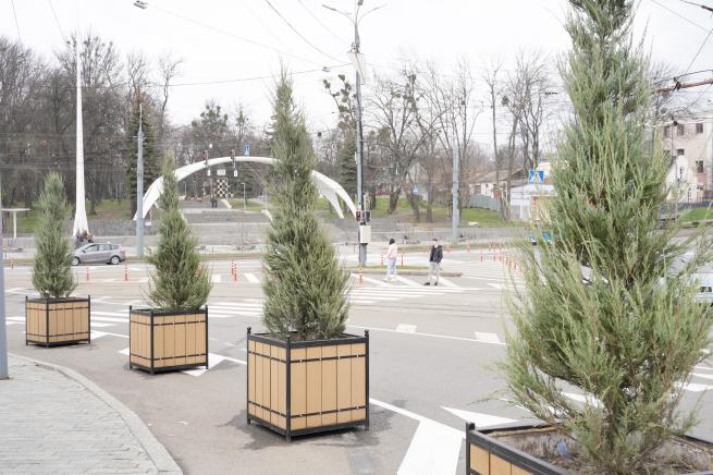 Новини Вінниці - фото з Вінницю прикрасять кущами ялівцю «Блю Арроу». Розпочали з площі Гагаріна SV_00523.JPG