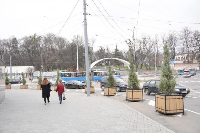 Новини Вінниці - фото з Вінницю прикрасять кущами ялівцю «Блю Арроу». Розпочали з площі Гагаріна SV_00533.JPG