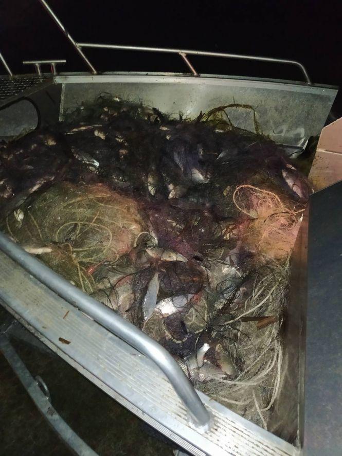 Новини Хмельницького - фото з Екологи провели нічний рейд на Південному Бузі. Вилучили пів кілометра сіток з рибою